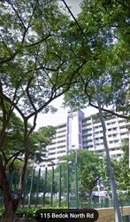 Blk 115 Bedok North Road (Bedok), HDB 4 Rooms #557724231